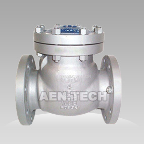 http://www.aen-valve.com/article/Cast-steel-low-pressure-check.html